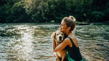 In these holiday homes, your dog is more than welcome